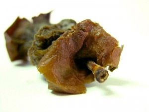 Rotten Apple Core Nom nom nom