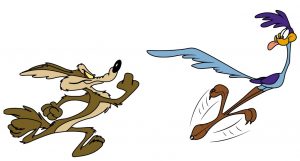 The Road Runner Sitcom