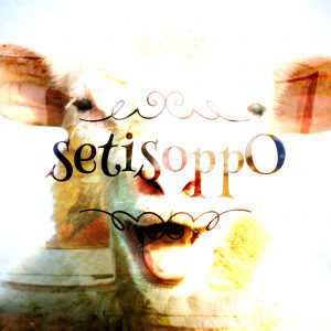 Setisoppo Is Opposites Backwards