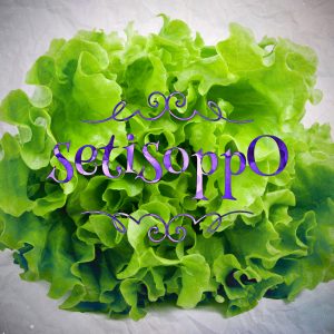 What's The Opposite Of Lettuce?