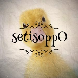 What's The Opposite Of A Duckling?