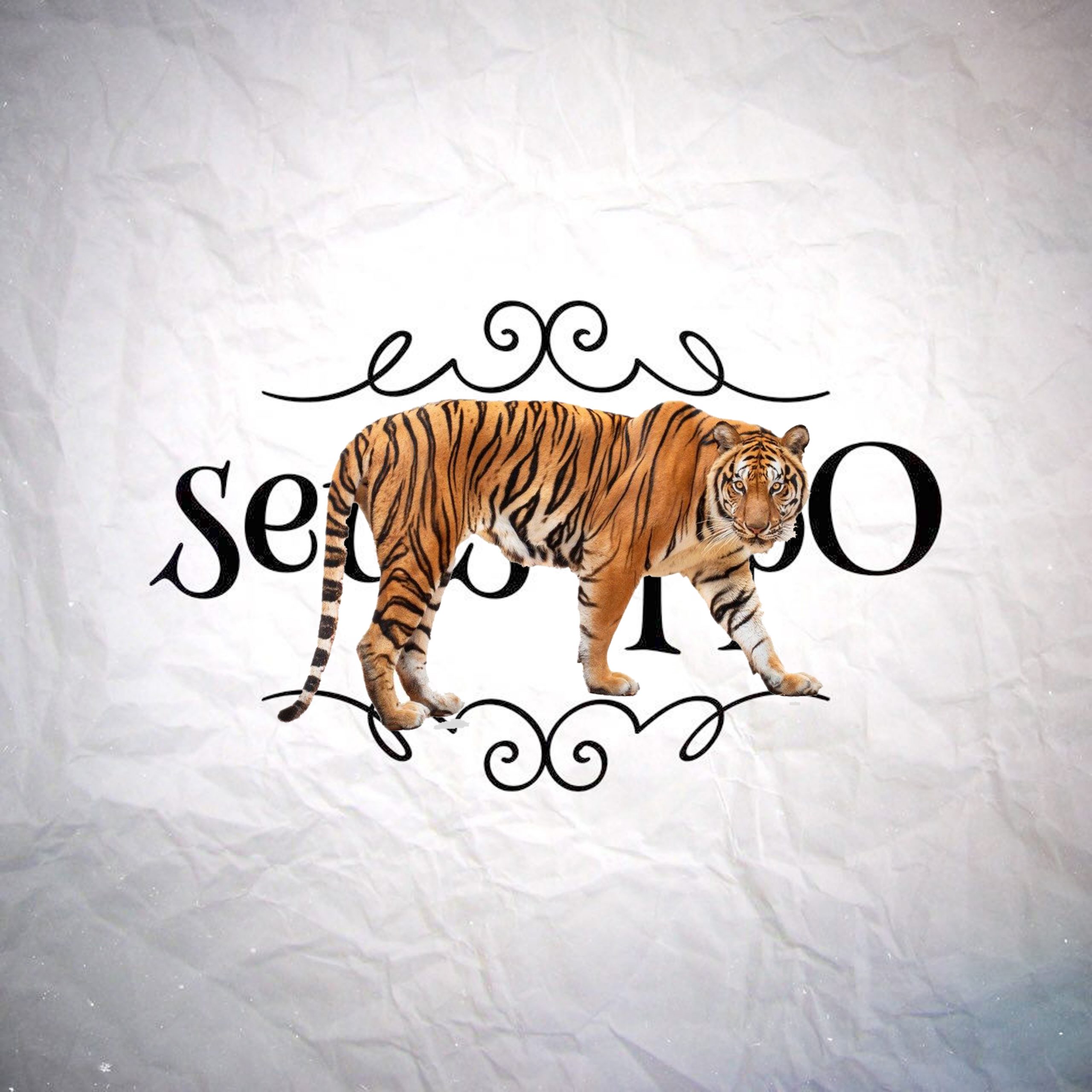 What’s The Opposite Of A Tiger?