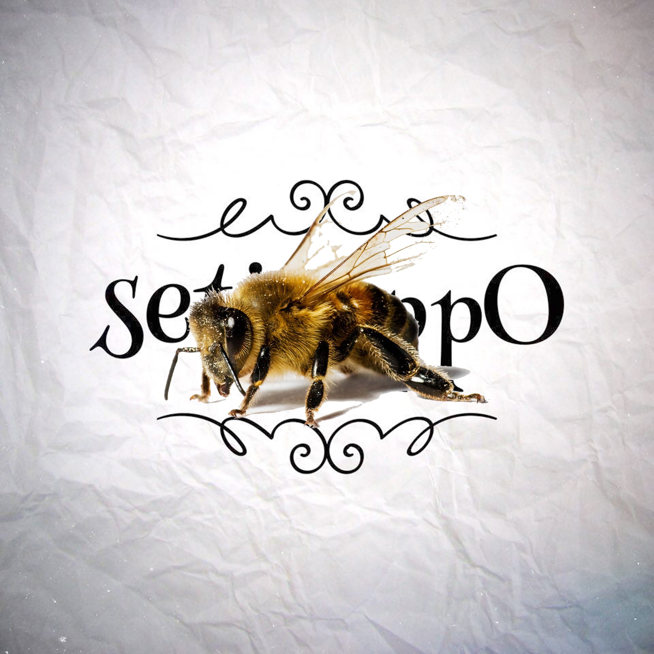 What’s The Opposite Of A Bee?